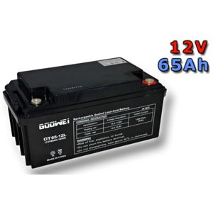 Trakční gelová baterie GOOWEI OTL65-12 65Ah