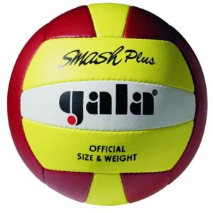 Volejbalový míč GALA Beach Smash BP5013S