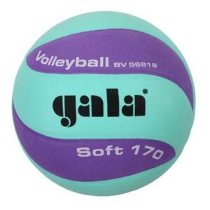 Volejbalový míč GALA Soft 170 BV 5681S zeleno-fialový